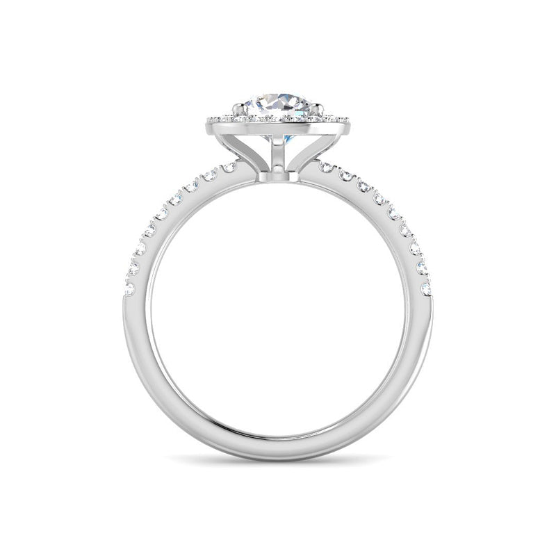 Round Solitaire w. Halo and Diamond Band (White Gold)