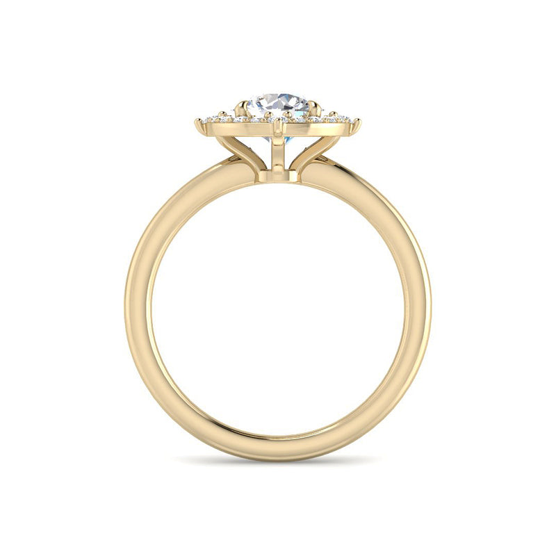 Round Solitaire w. Cardinal Halo (Yellow Gold)