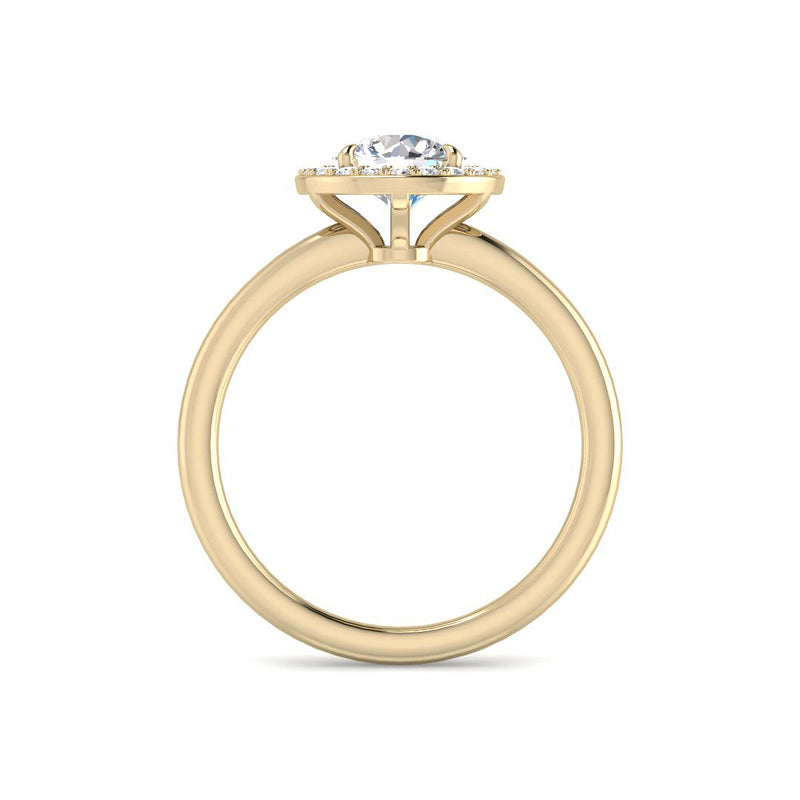Round Solitaire w. Halo (Yellow Gold)
