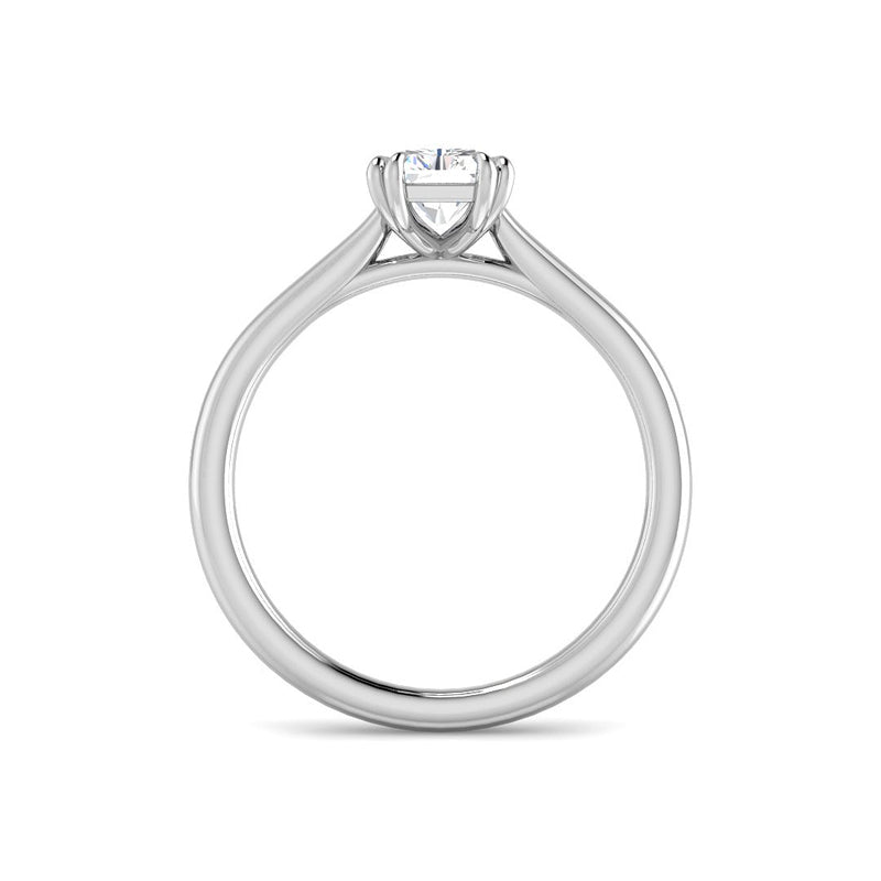 Emerald Cut Cathedral w. Double Claws (White Gold)