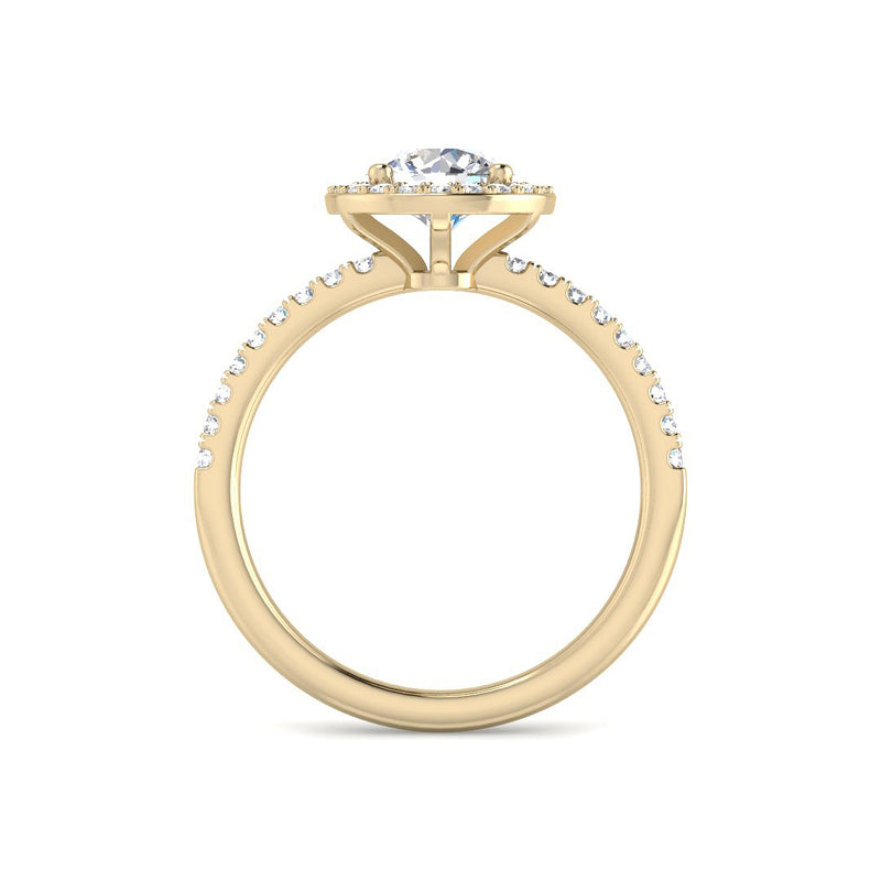 Round Solitaire w. Halo and Diamond Band (Yellow Gold)
